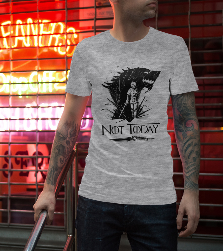Not Today Wolf Sword Warrior Art ZN4 T-Shirt