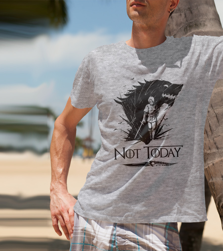 Not Today Wolf Sword Warrior Art ZN4 T-Shirt