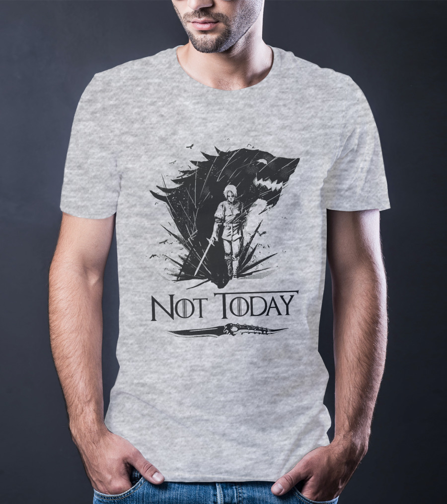 Not Today Wolf Sword Warrior Art ZN4 T-Shirt