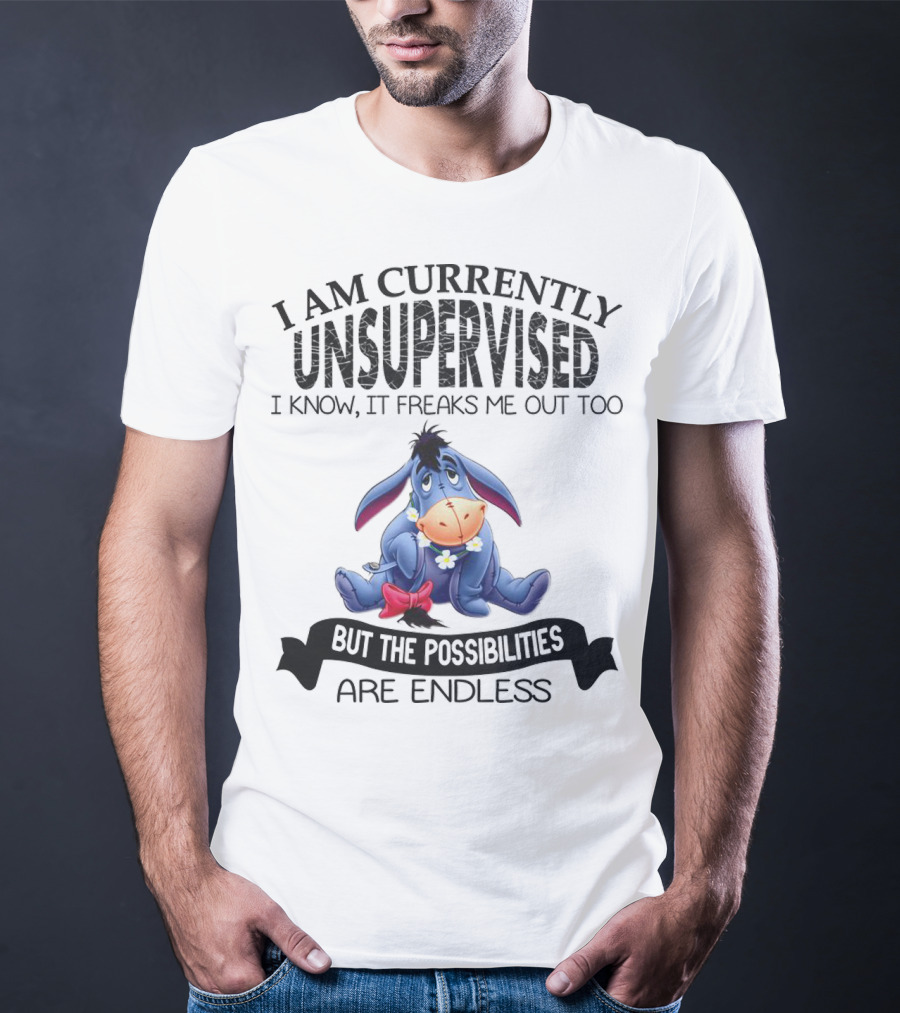 Eeyore Currently Unsupervised I Know It Freaks Me Out Too But The Possibilities Are Endless T-Shirt