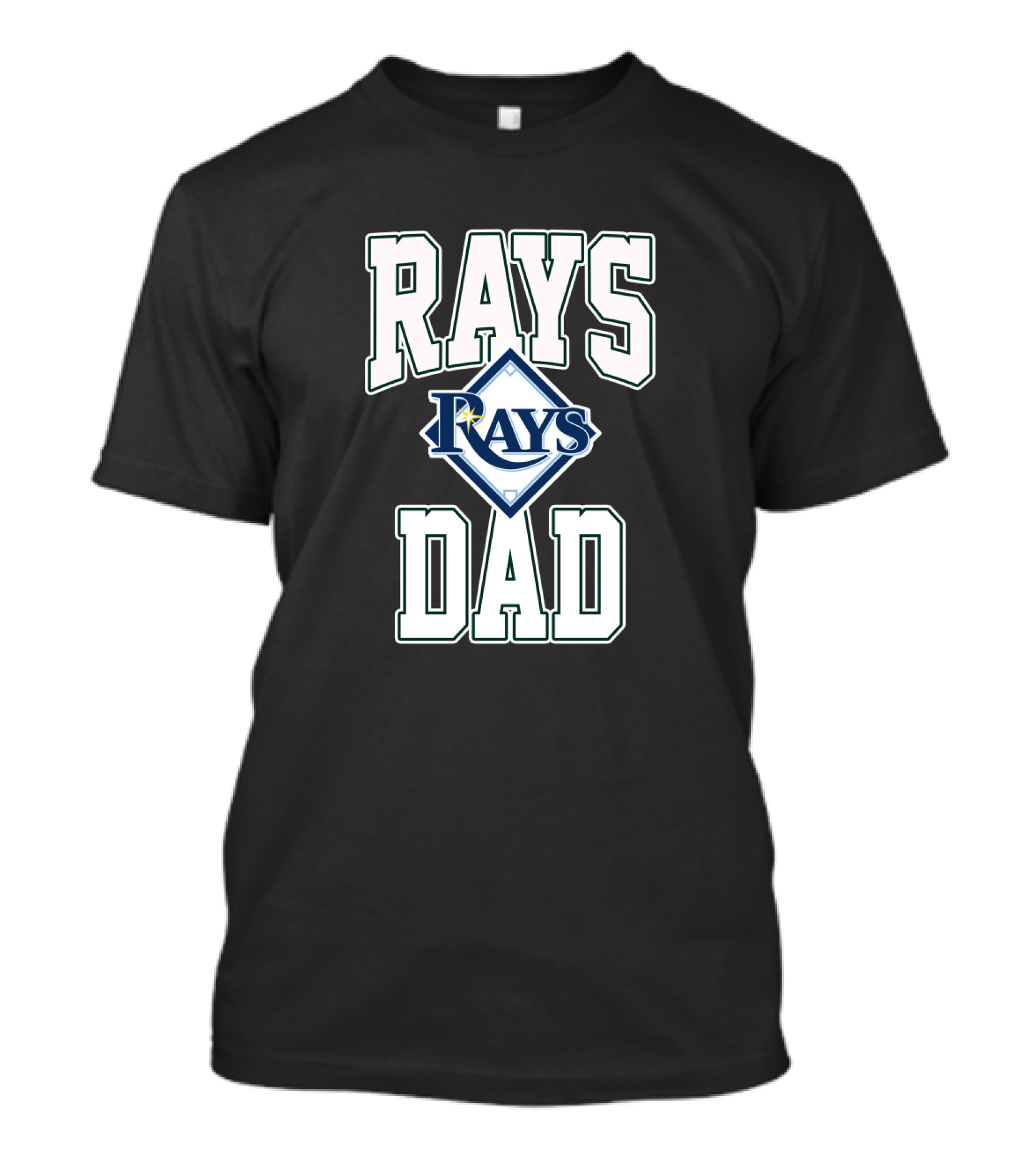 Rays Dad Tampa Bay Baseball Enthusiast Dad Fan Gear T-Shirt