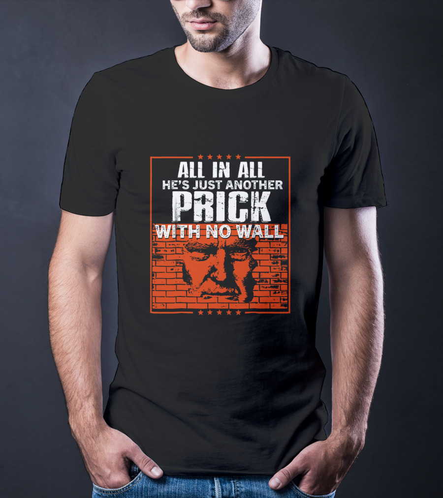 All In All He's Just Another Prick With No Wall With Brick Background T-Shirt