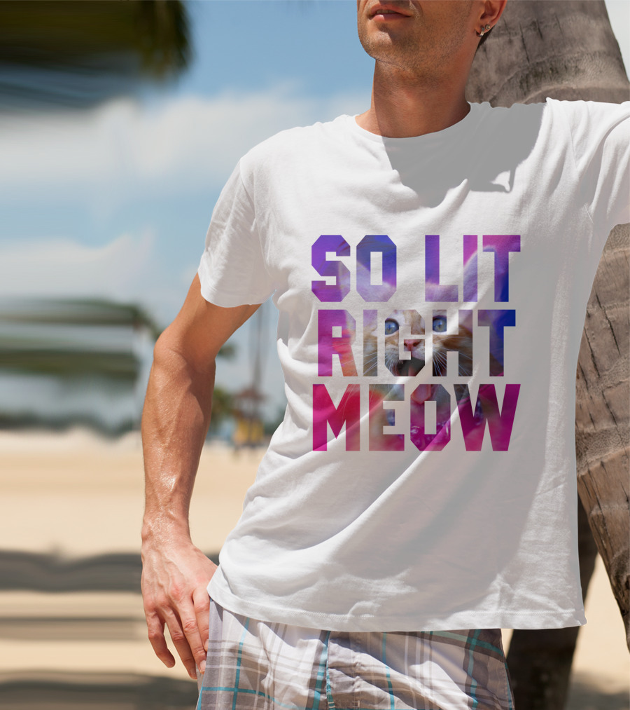 SO LIT RIGHT MEOW Cat Typography T-Shirt