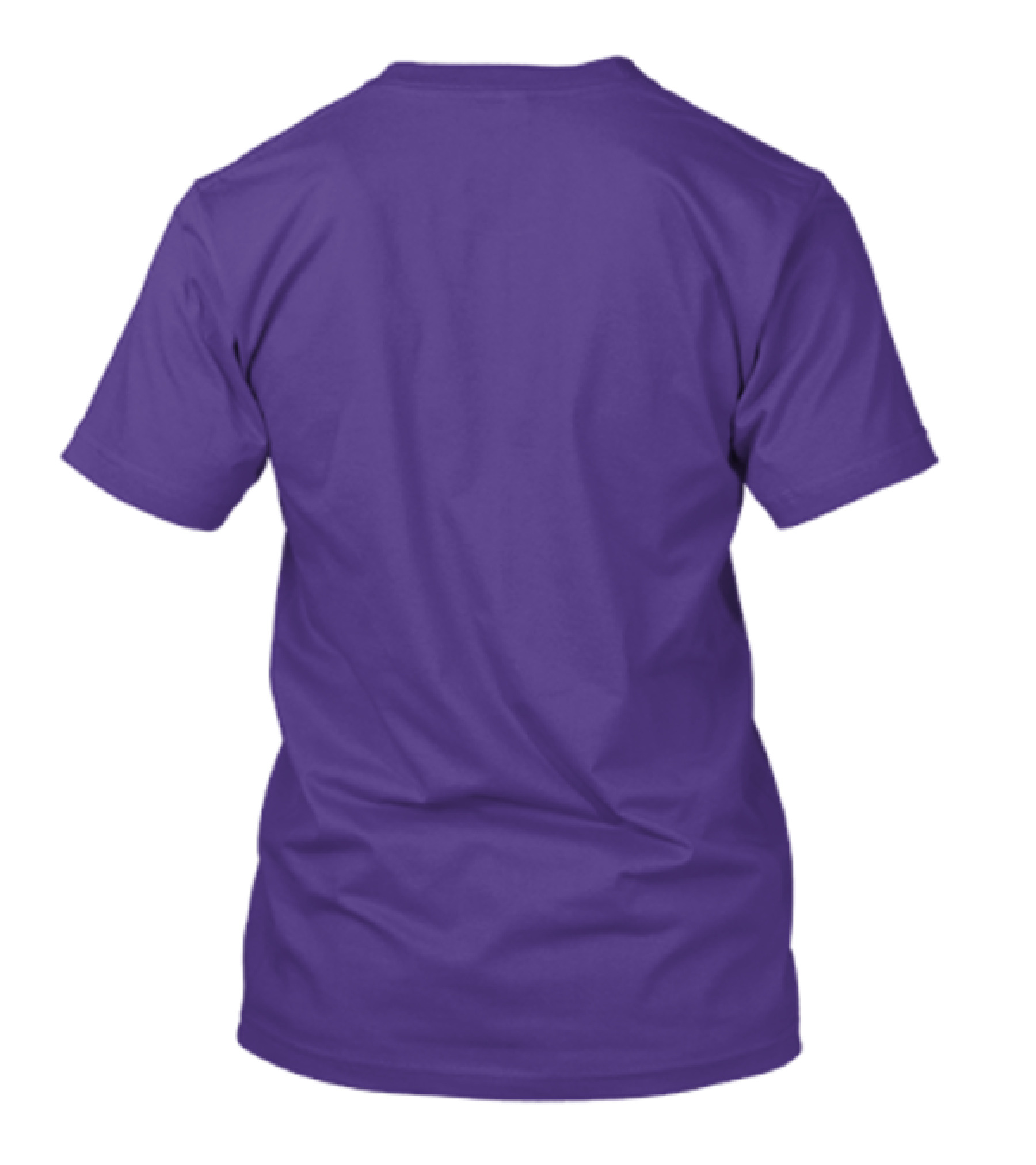 I'm Really A Clemson Tigers Fan This Is My Human Costume T-Shirt