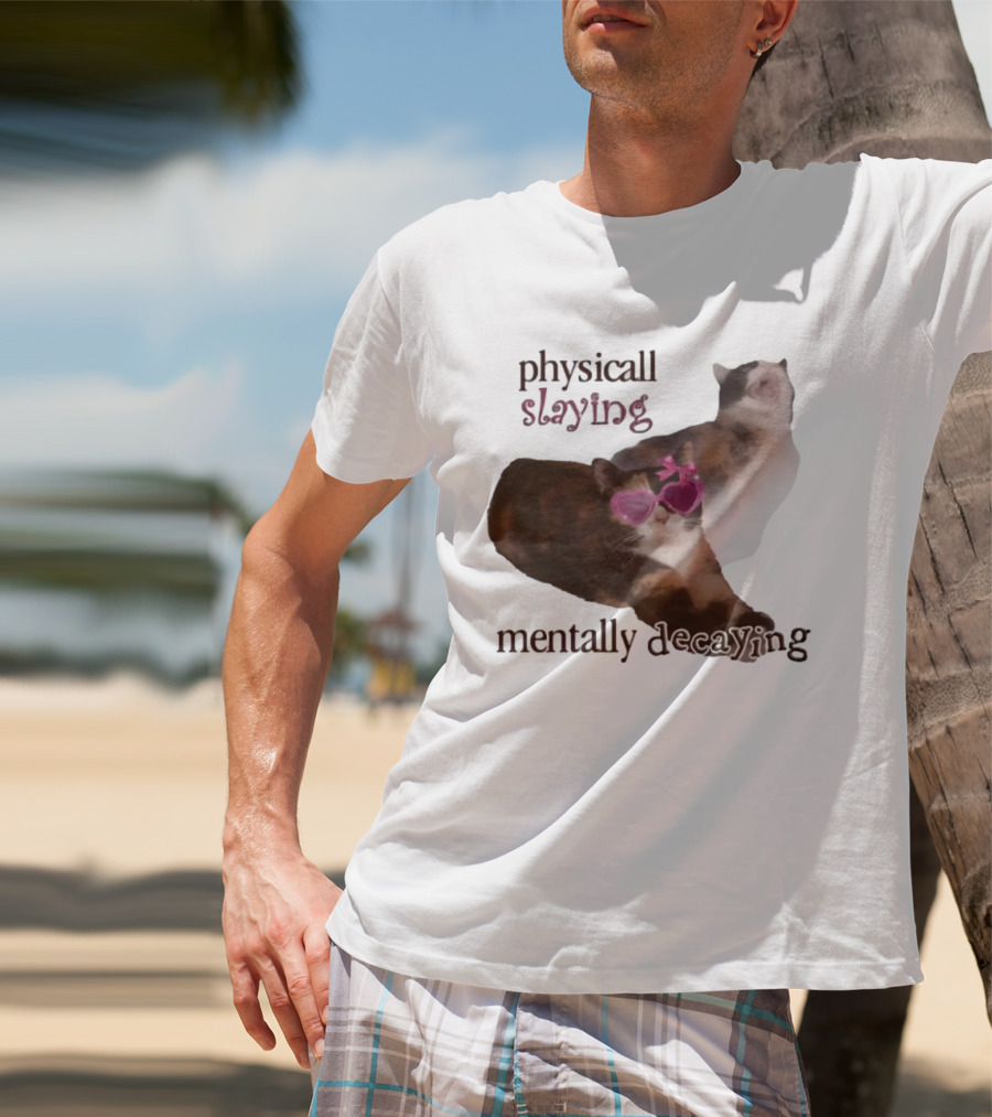 ```Snazzyseagull Physically Slaying Mentally Decaying Cat With Pink Heart Sunglasses``` T-Shirt