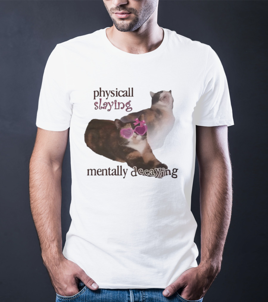 ```Snazzyseagull Physically Slaying Mentally Decaying Cat With Pink Heart Sunglasses``` T-Shirt