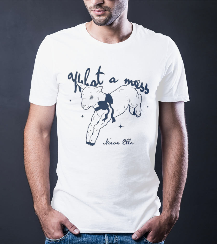 What A Mess Nieve Ella Lamb Drawing T-Shirt
