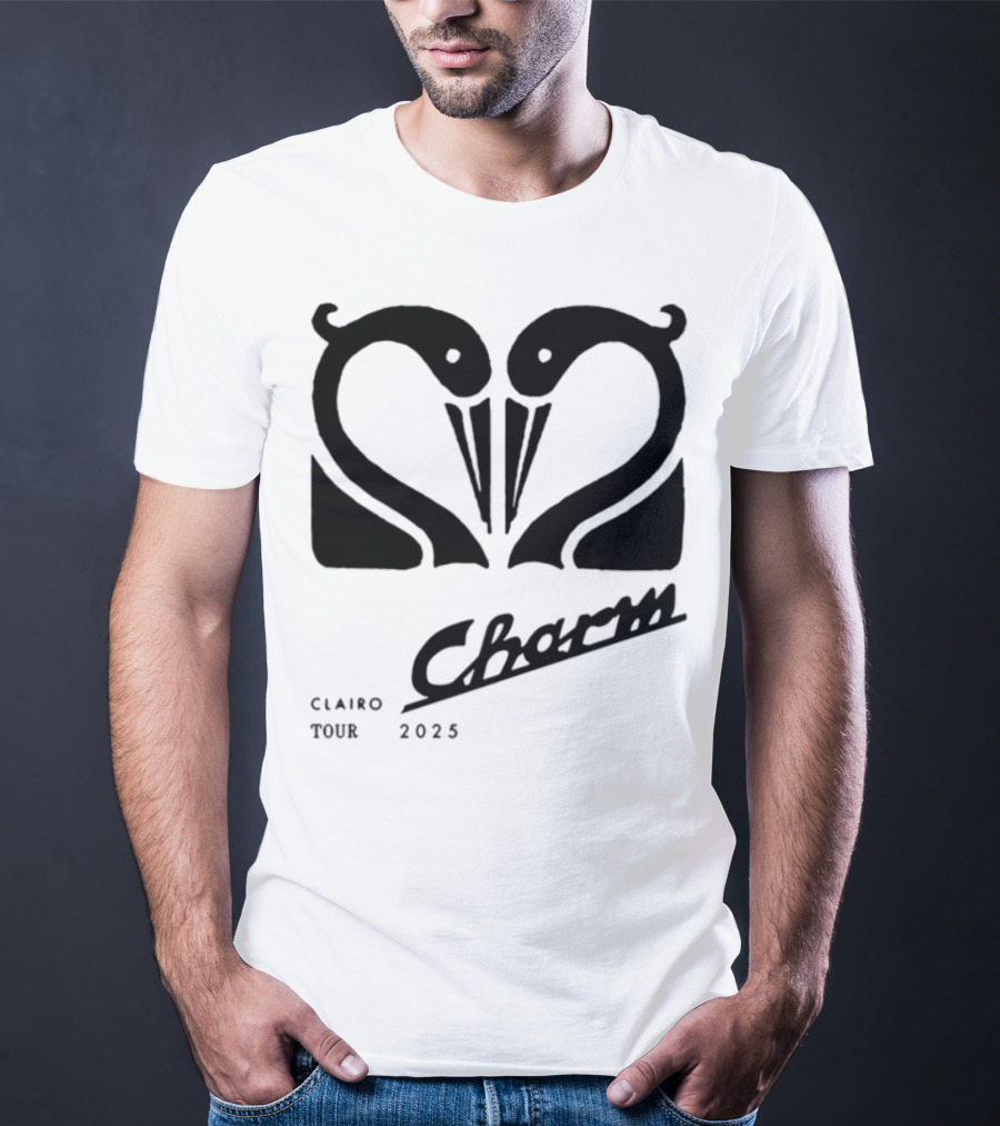 Charm Swan Europe Tour 23 Concert Aesthetic Retro Swans T-Shirt