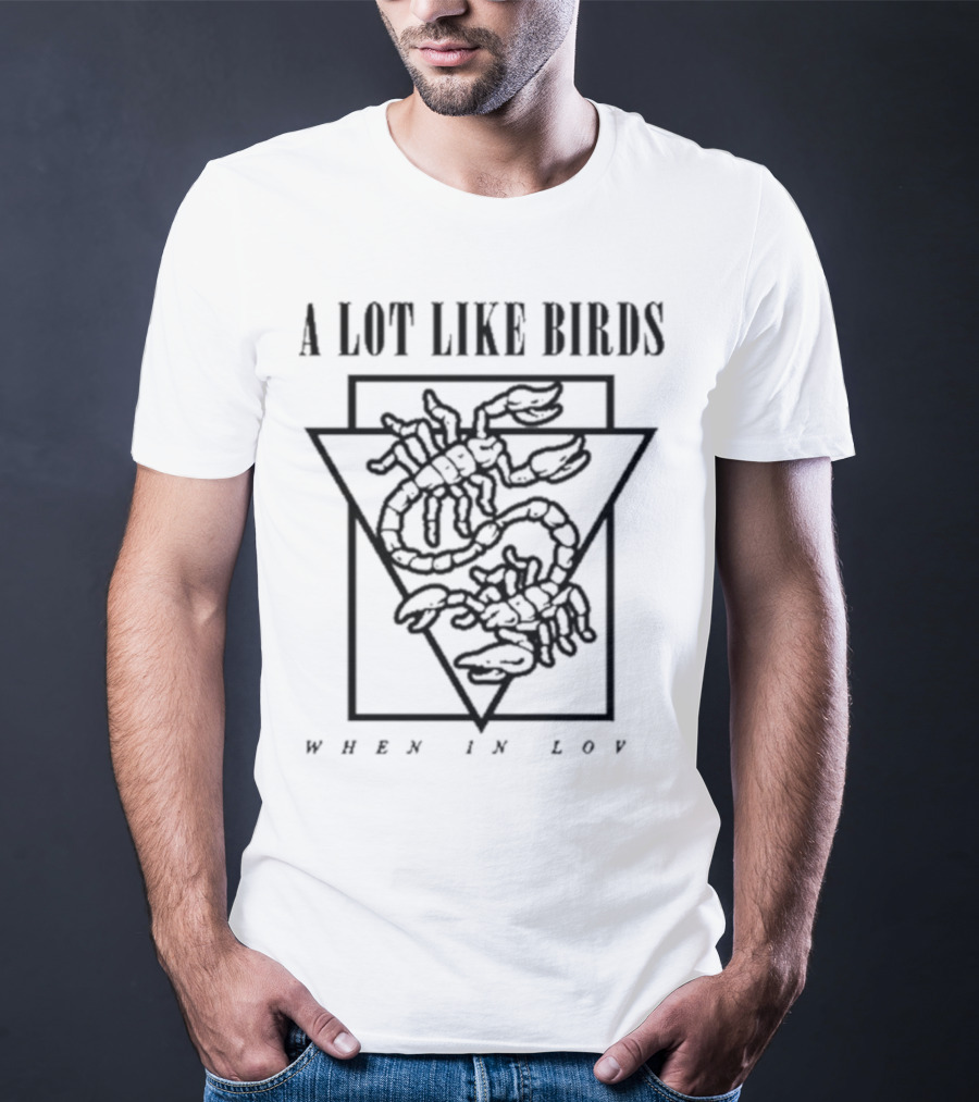 A Lot Like Birds When In Love Triangle Artwork T-Shirt
