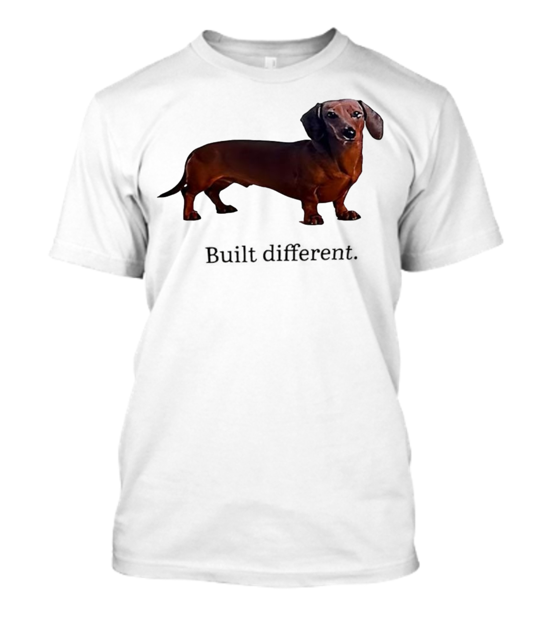 Dachshund Built Different T-Shirt