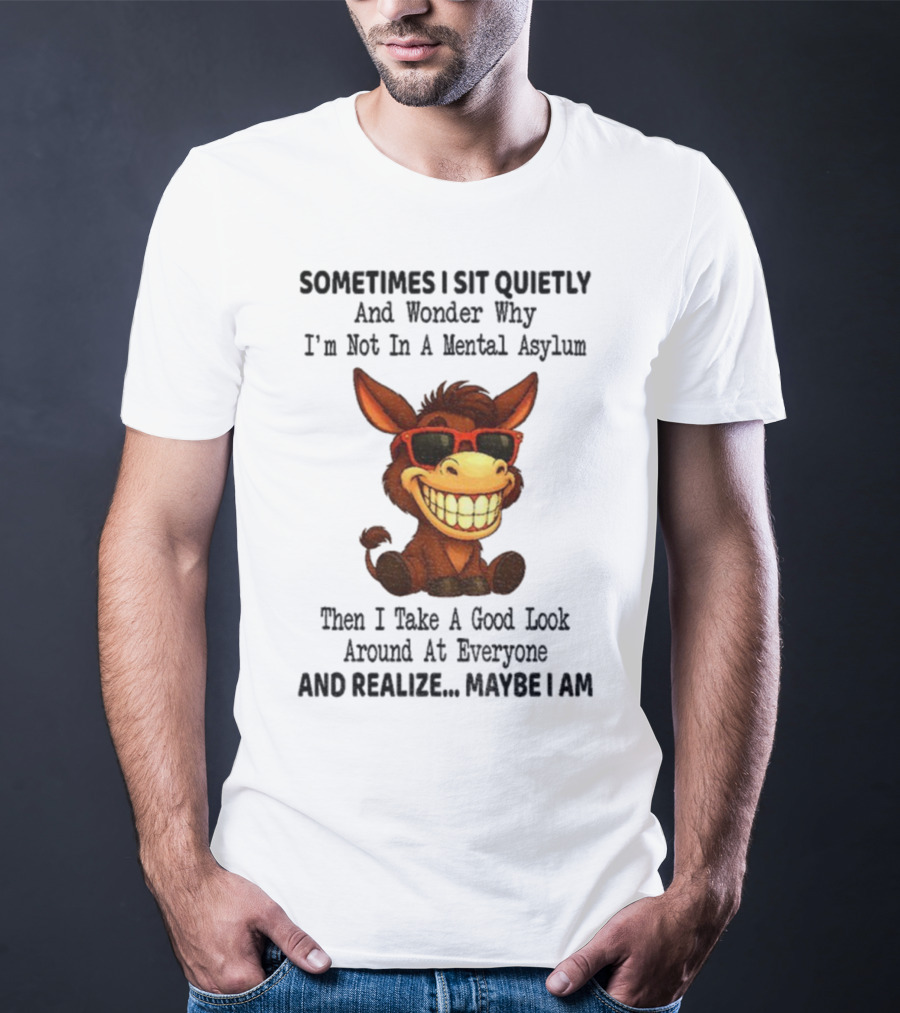 Sometimes I Sit Quietly And Wonder Why I'm Not In A Mental Asylum Then I Take A Good Look Around At Everyone And Realize Maybe I Am Donkey Meme T-Shirt
