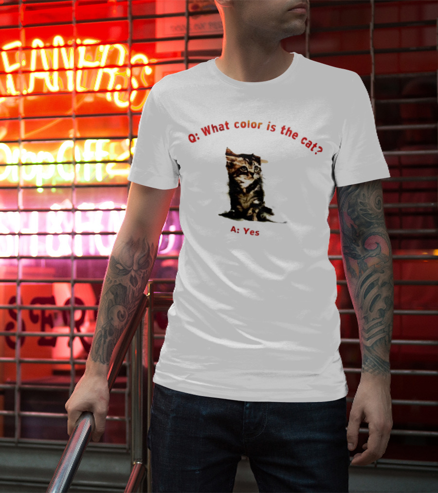 What Color Is The Cat Yes Kitten T-Shirt