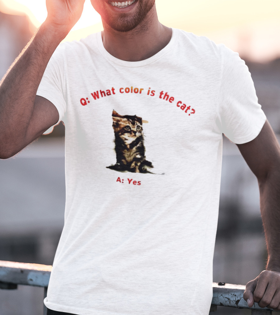 What Color Is The Cat Yes Kitten T-Shirt