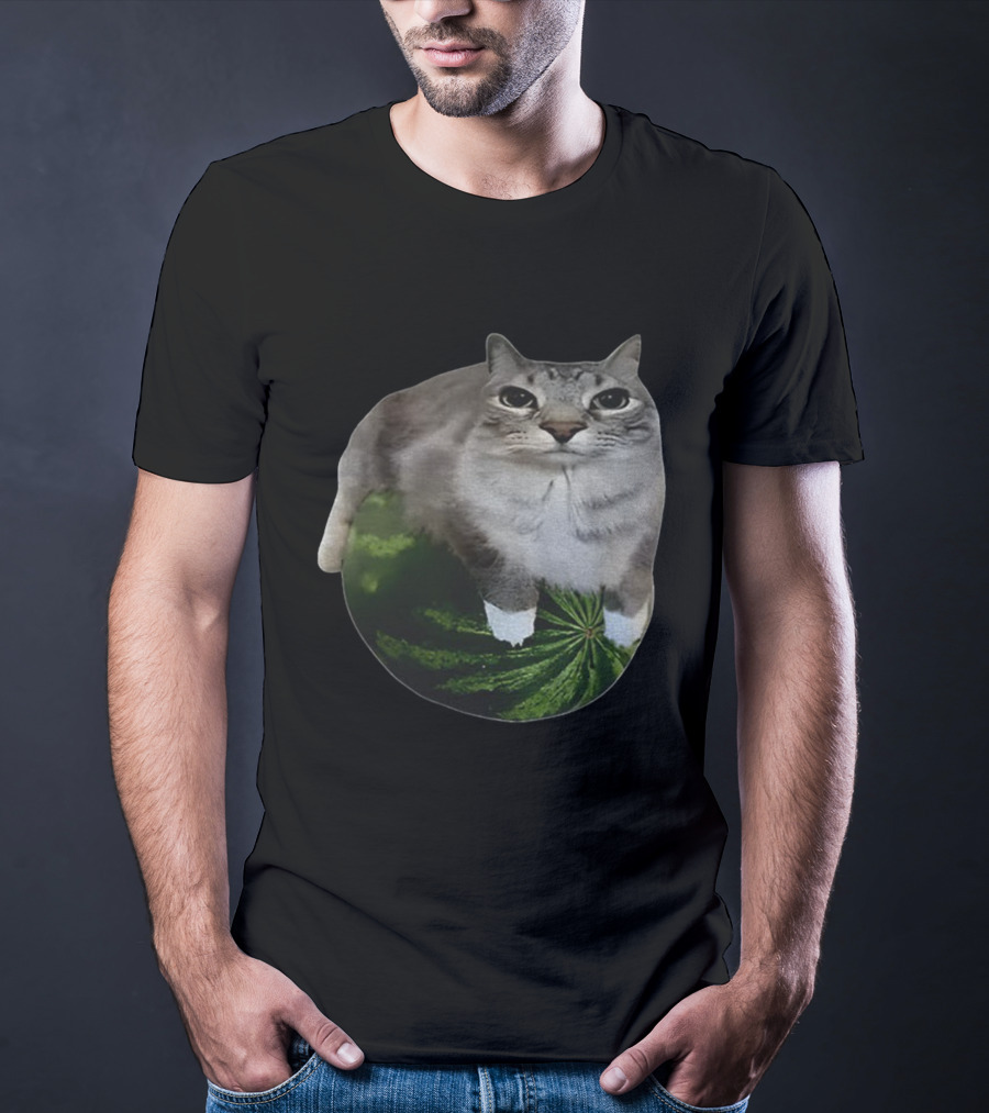 Watermelon Cat Meme Humor Collage T-Shirt