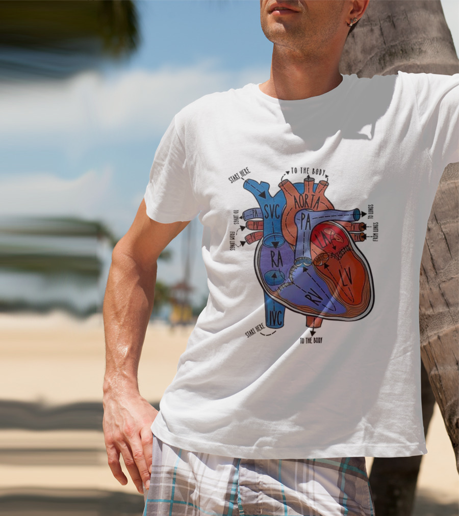 Heart Anatomy Blood Flow SVC RA RV IVC Aorta PA PV LA LV T-Shirt
