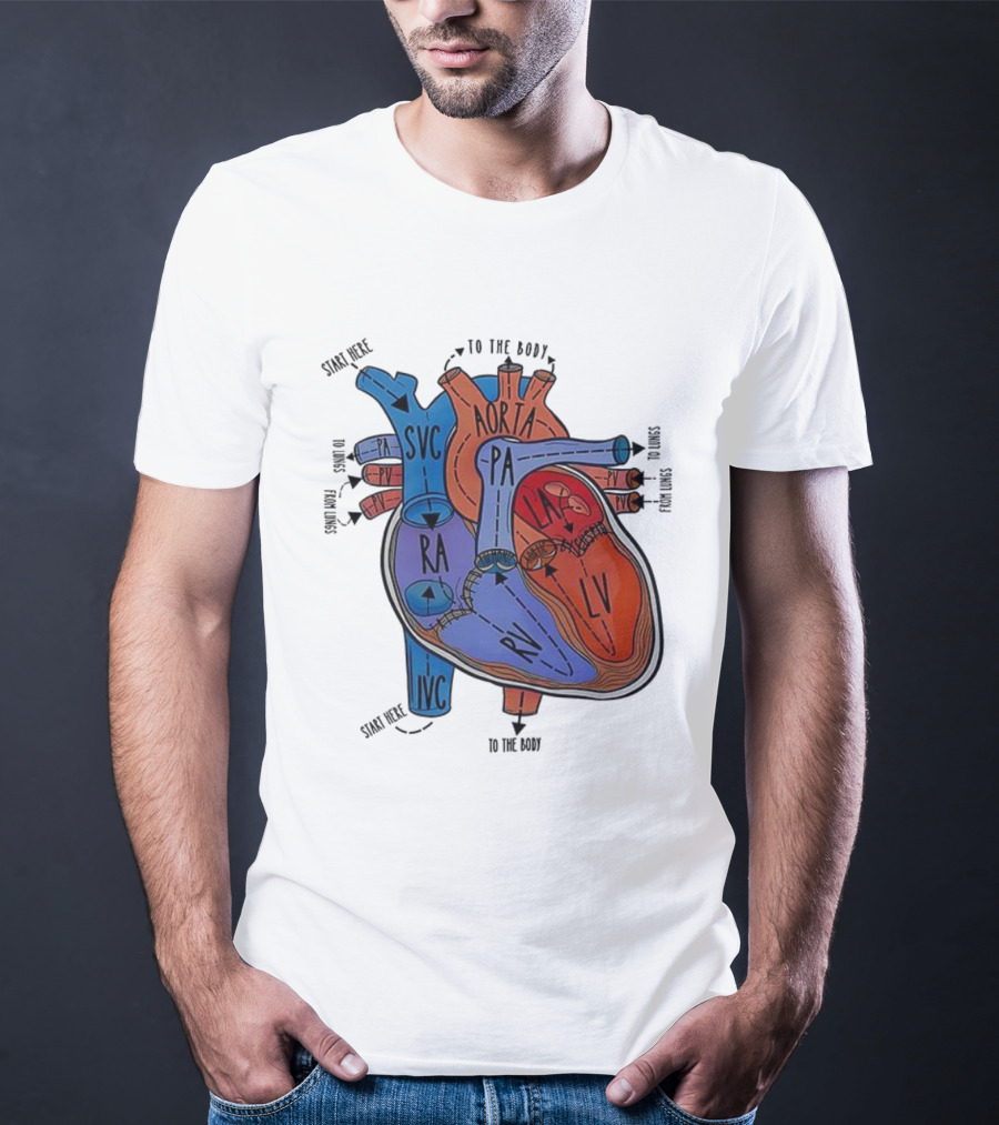 Heart Anatomy Blood Flow SVC RA RV IVC Aorta PA PV LA LV T-Shirt