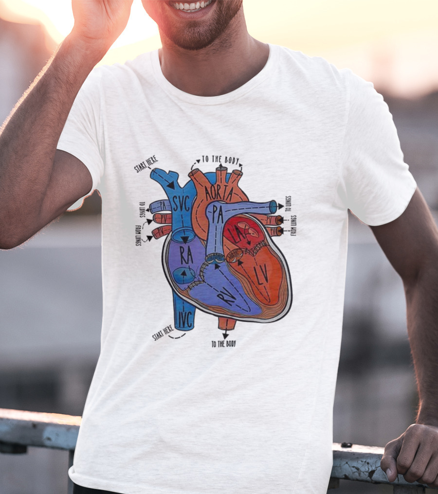 Heart Anatomy Blood Flow SVC RA RV IVC Aorta PA PV LA LV T-Shirt