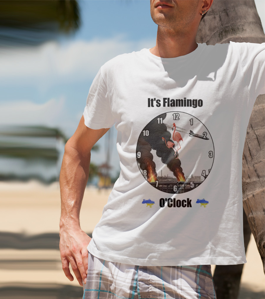 Flamingo O’clock Flamingos On Face With Plane And Fire Imagery T-Shirt