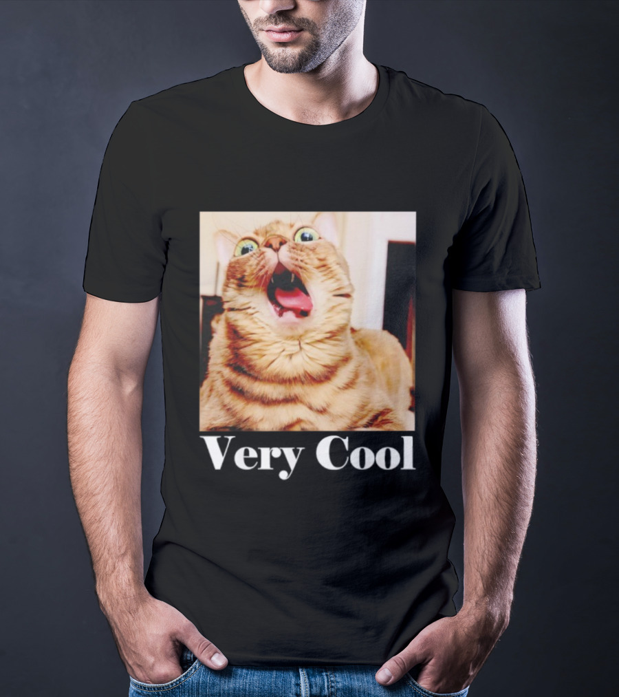 Silly Cat Meme Humor Very Cool Funny Cats T-Shirt