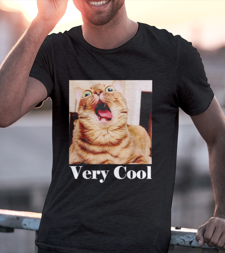 Silly Cat Meme Humor Very Cool Funny Cats T-Shirt