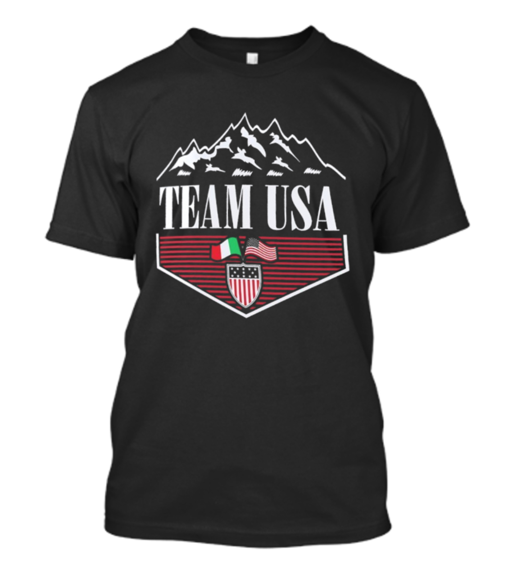 Team USA Winter Olympics 2026 Diamond Peaks Flag Emblem T-Shirt