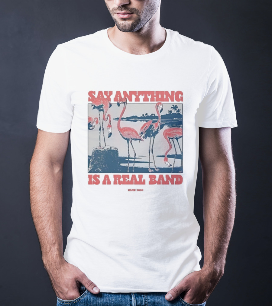 Say Anything Flamingo Is A Real Band Since 2000 T-Shirt