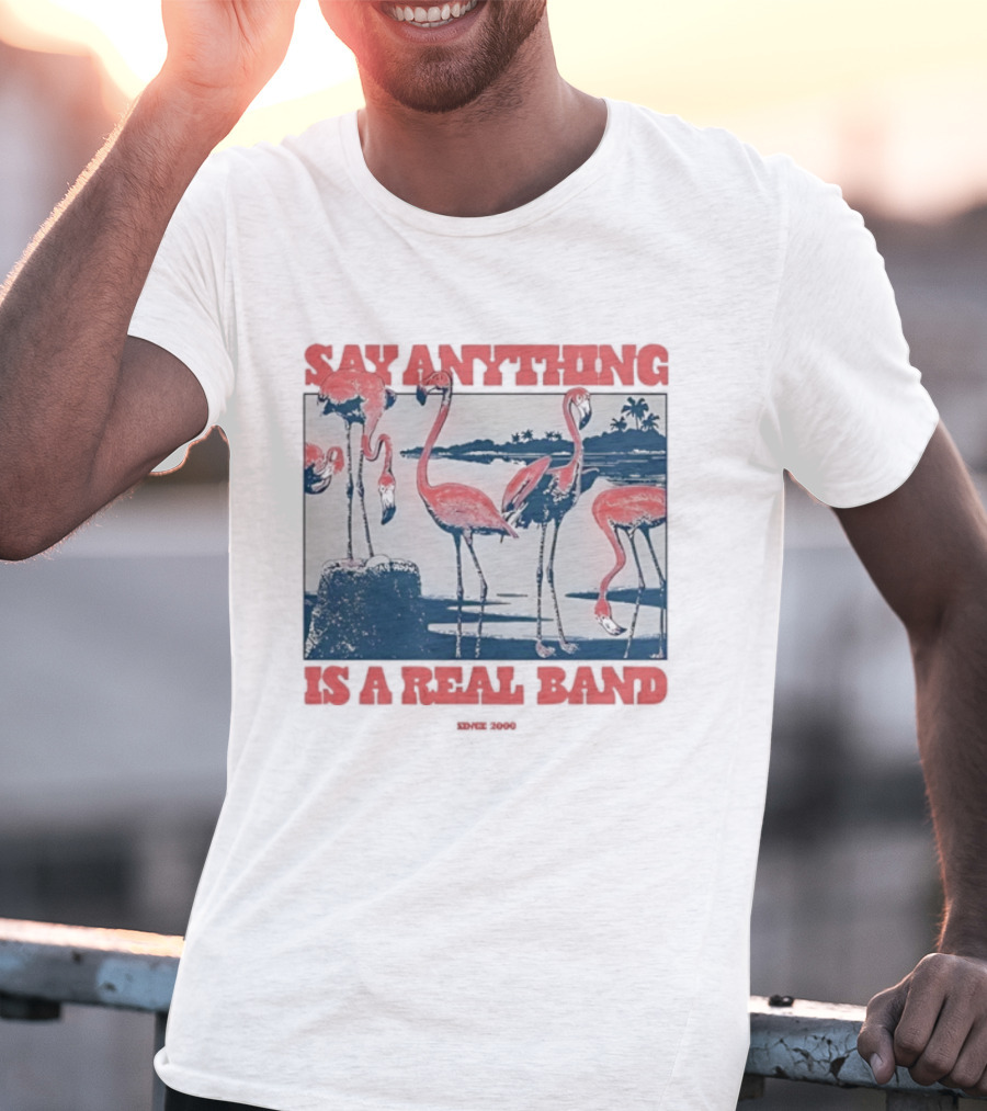 Say Anything Flamingo Is A Real Band Since 2000 T-Shirt