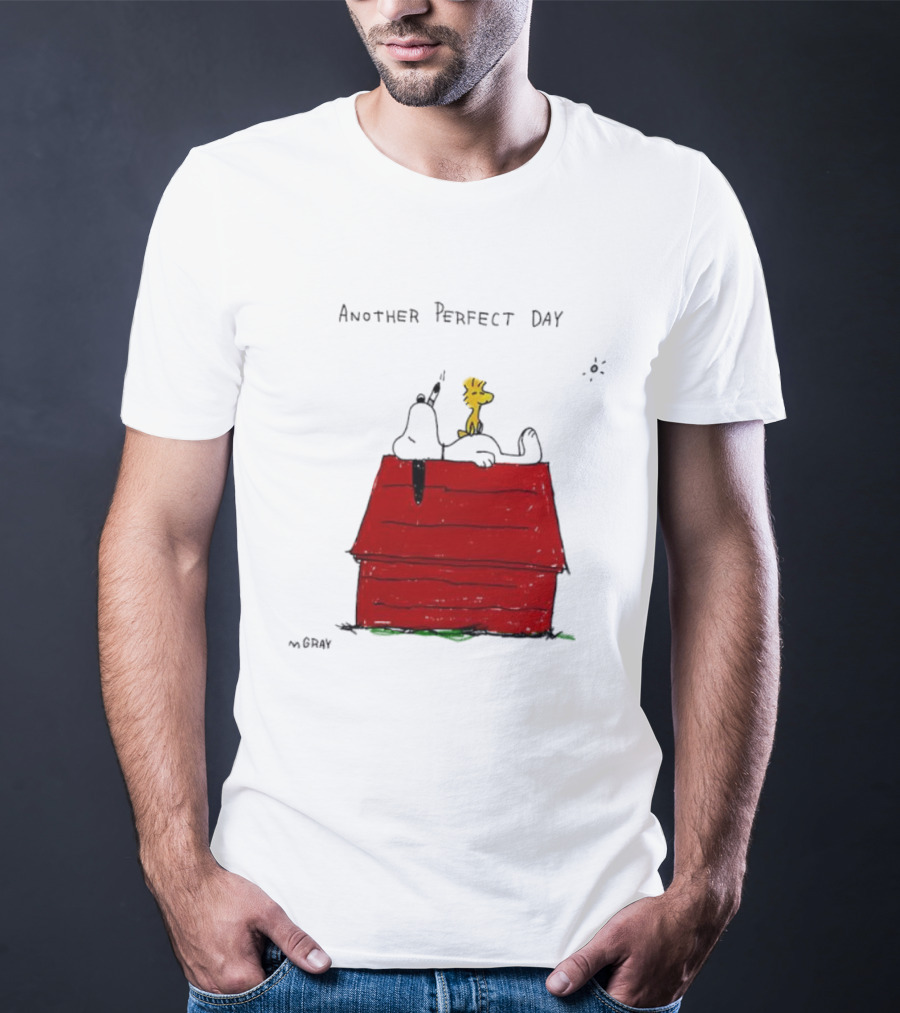 Snoopy And Woodstock Relaxing On Doghouse Perfect Day T-Shirt