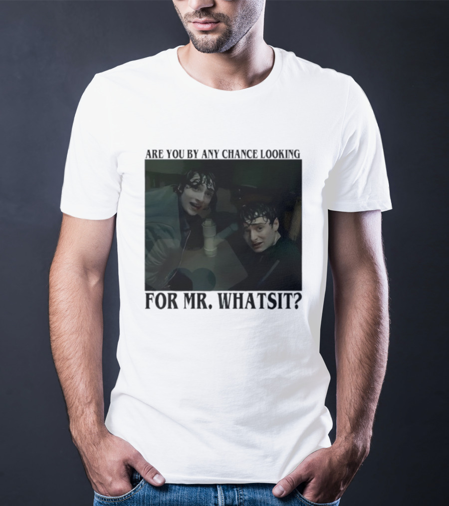 Mike And Will Are You By Any Chance Looking For Mr. Whatsit Stranger 1980s Adventure Fantasy T-Shirt
