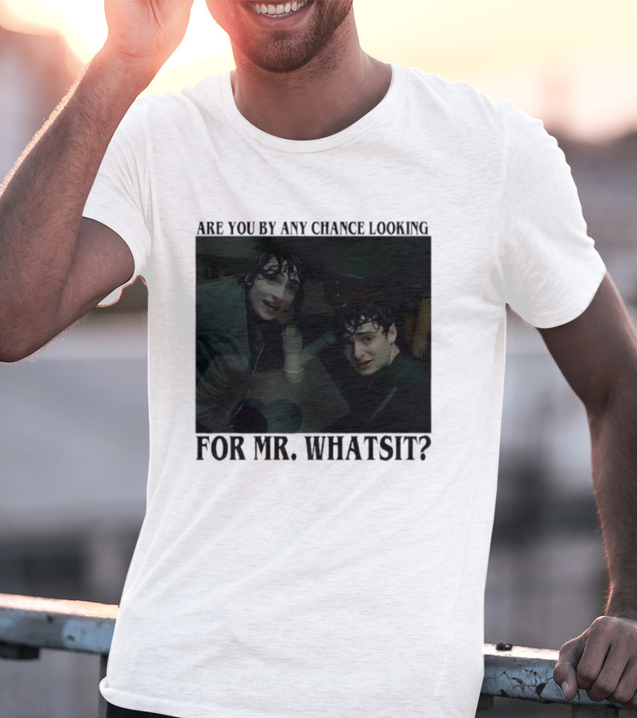 Mike And Will Are You By Any Chance Looking For Mr. Whatsit Stranger 1980s Adventure Fantasy T-Shirt