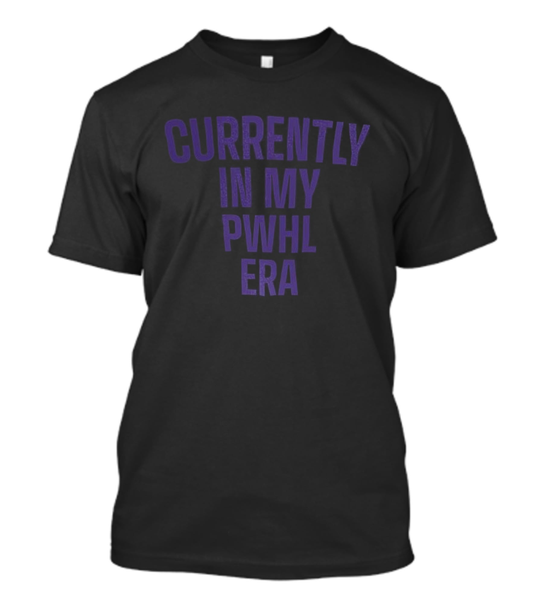 Currently In My PWHL Era Sports Enthusiast Apparel T-Shirt