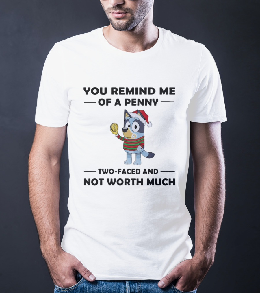 You Remind Me Of A Penny Two Faced And Not Worth Much Holiday Dog Santa Hat Striped Sweater T-Shirt