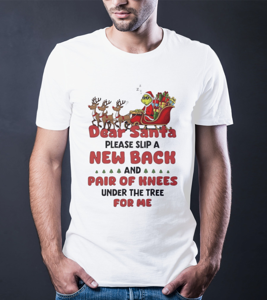 Dear Santa Grinch New Back Pair Of Knees Christmas Humor T-Shirt
