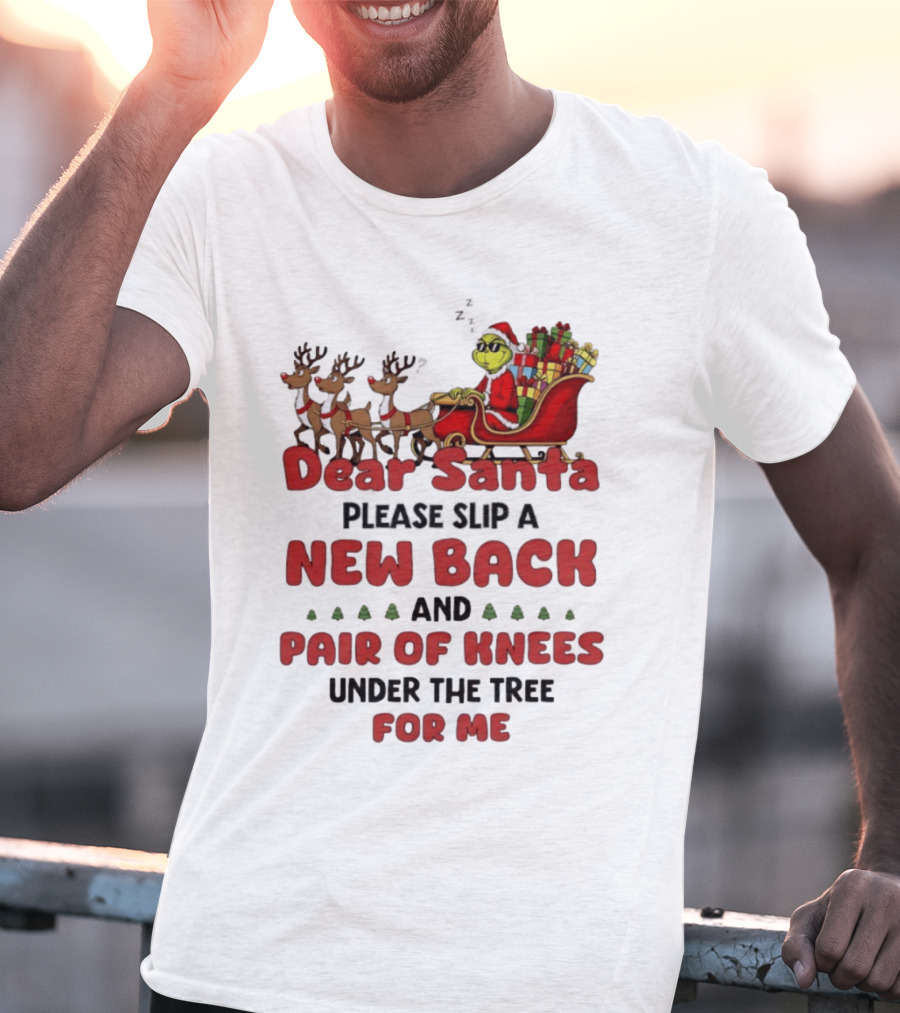 Dear Santa Grinch New Back Pair Of Knees Christmas Humor T-Shirt