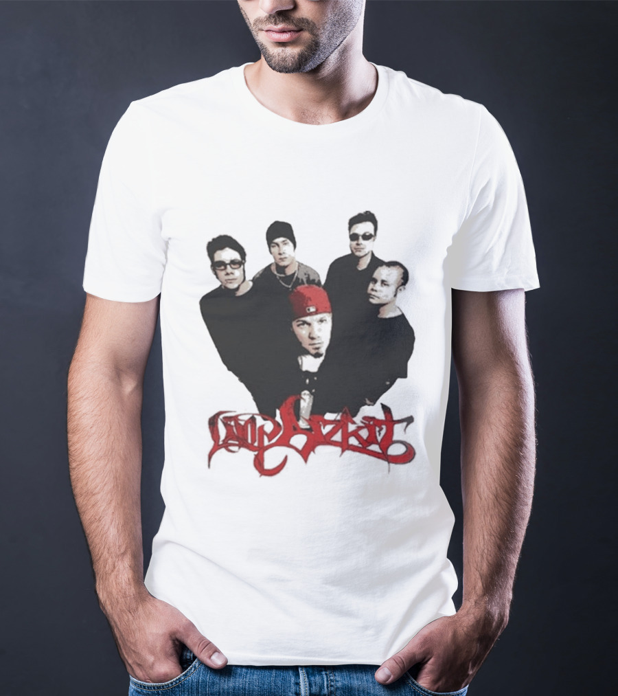 What Do You Guys Think Of My Limp Bizkit Band Members T-Shirt