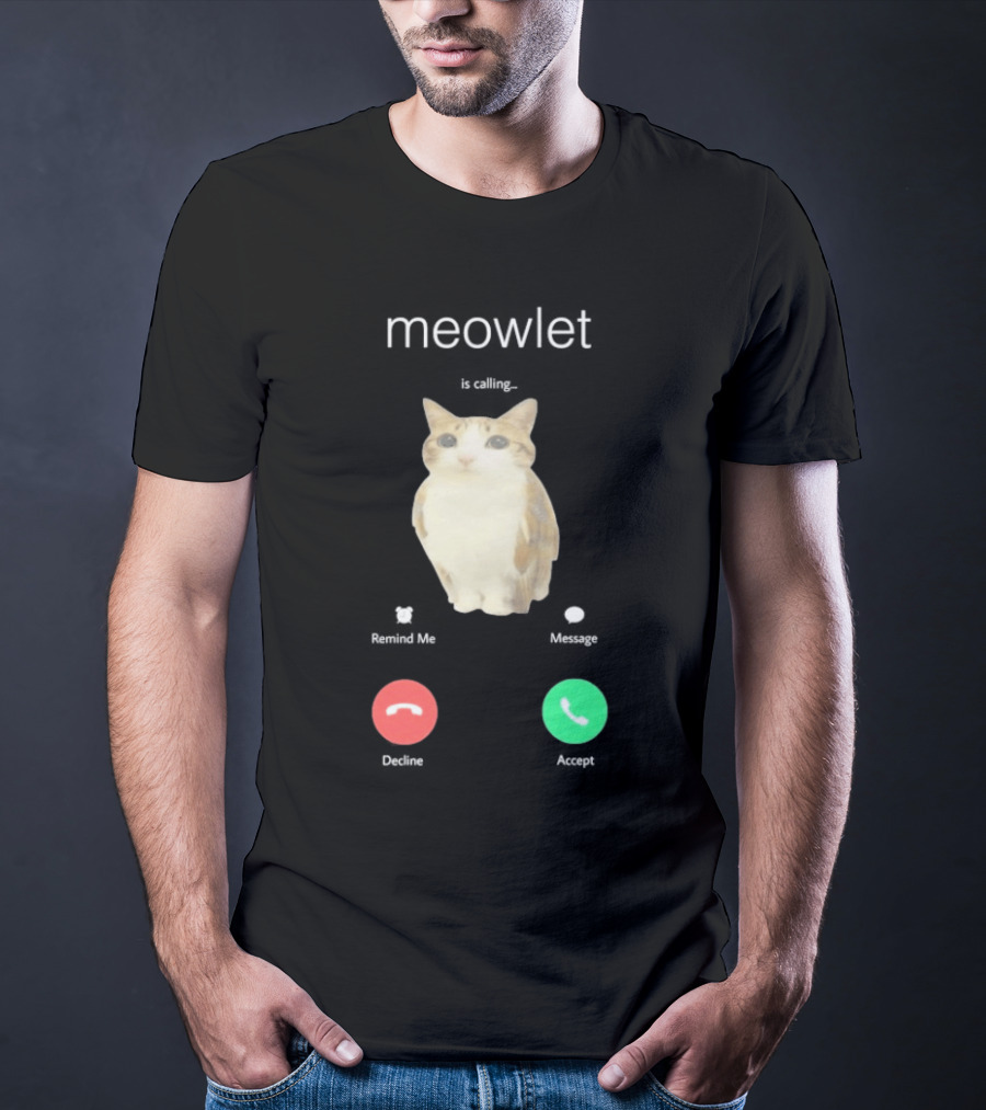 Meowlet Is Calling Remind Me Message Decline Accept Cat Image T-Shirt