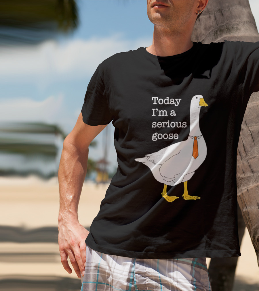 Today I'm A Serious Goose T-Shirt