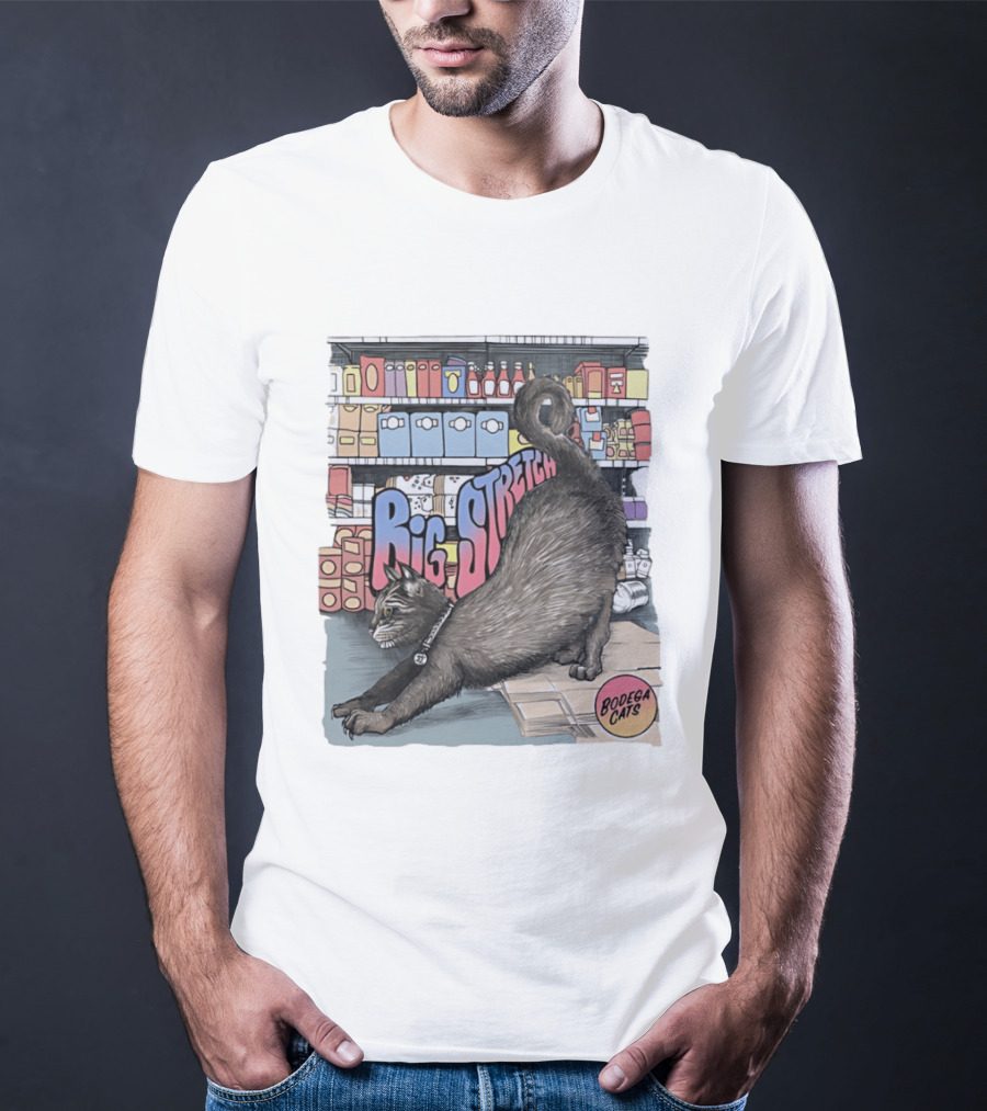 Big Stretch Bodega Cats Groceries Stack T-Shirt