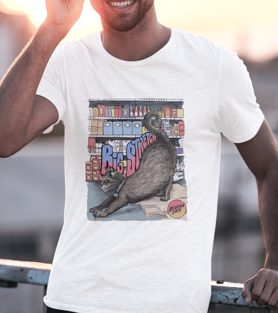 Big Stretch Bodega Cats Groceries Stack T-Shirt