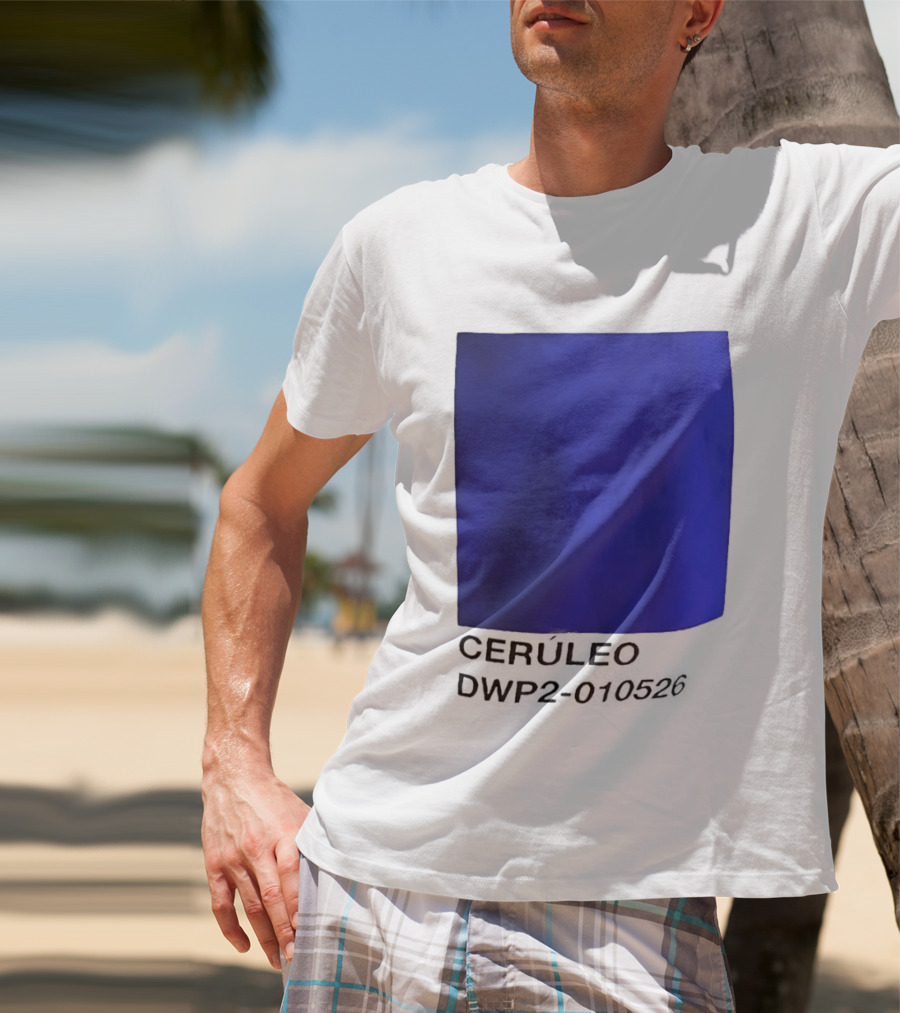 Ceruleo DWP2 010526 T-Shirt