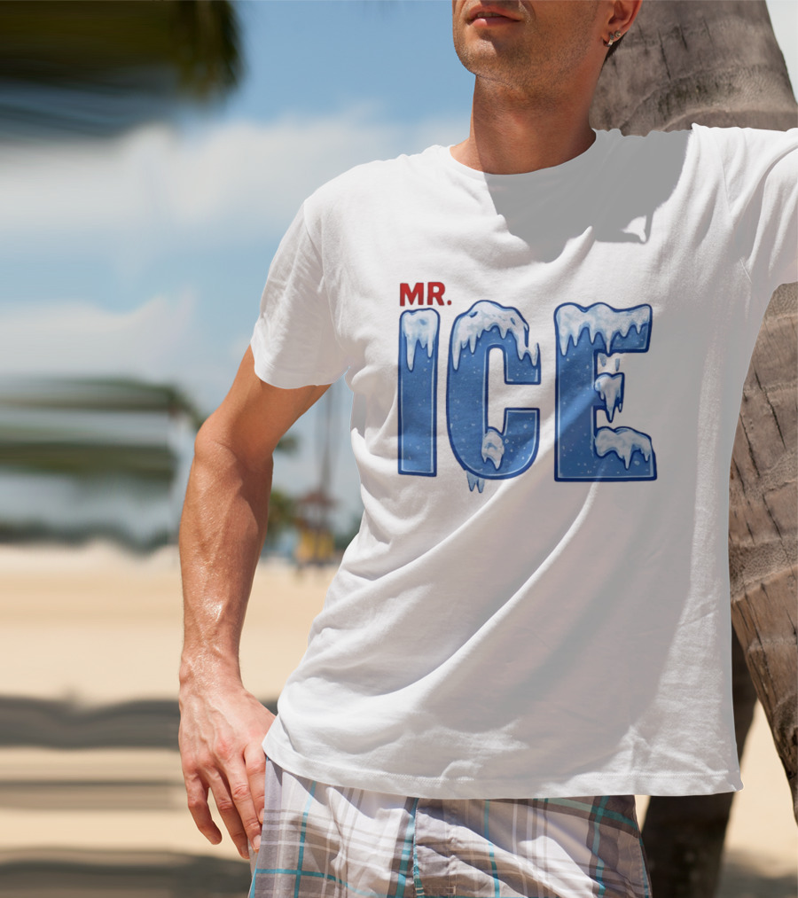 Mr ICE Snow Cover Icy Letters Frosty Winter T-Shirt
