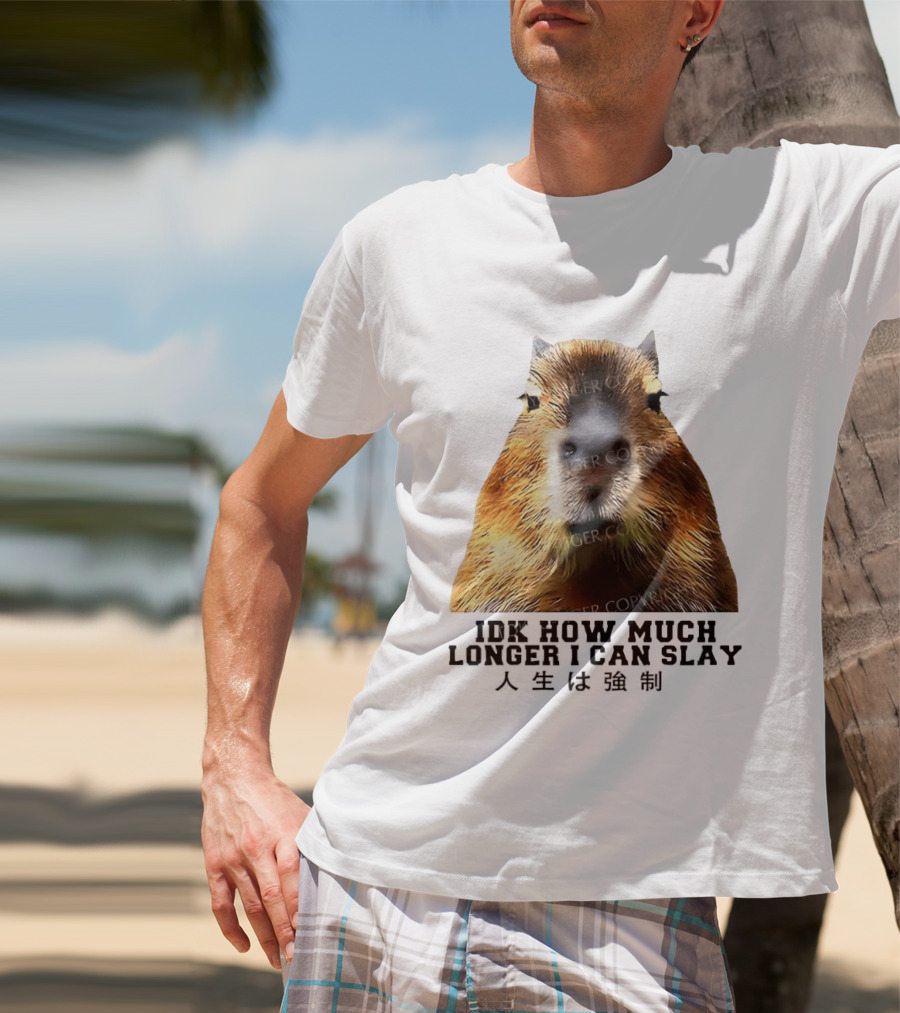 Capybara Idk How Much Longer I Can Slay T-Shirt