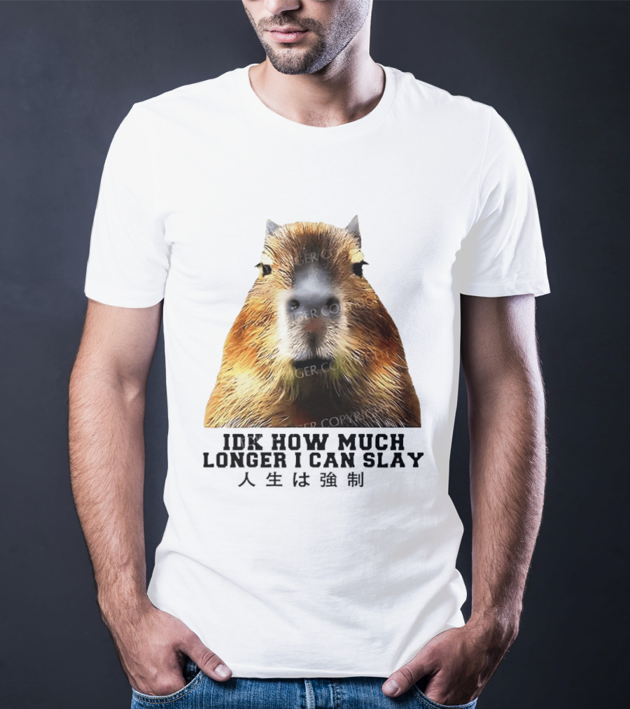Capybara Idk How Much Longer I Can Slay T-Shirt