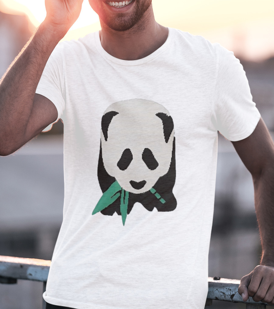 Taylor Wearing Free People Panda T-Shirt