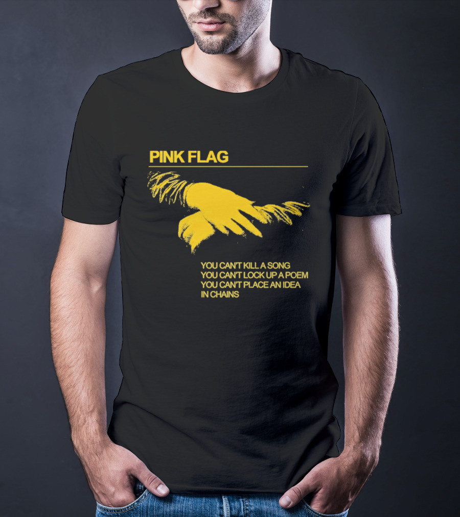 Pink Flag You Can't Kill A Song Poem Idea In Chains T-Shirt
