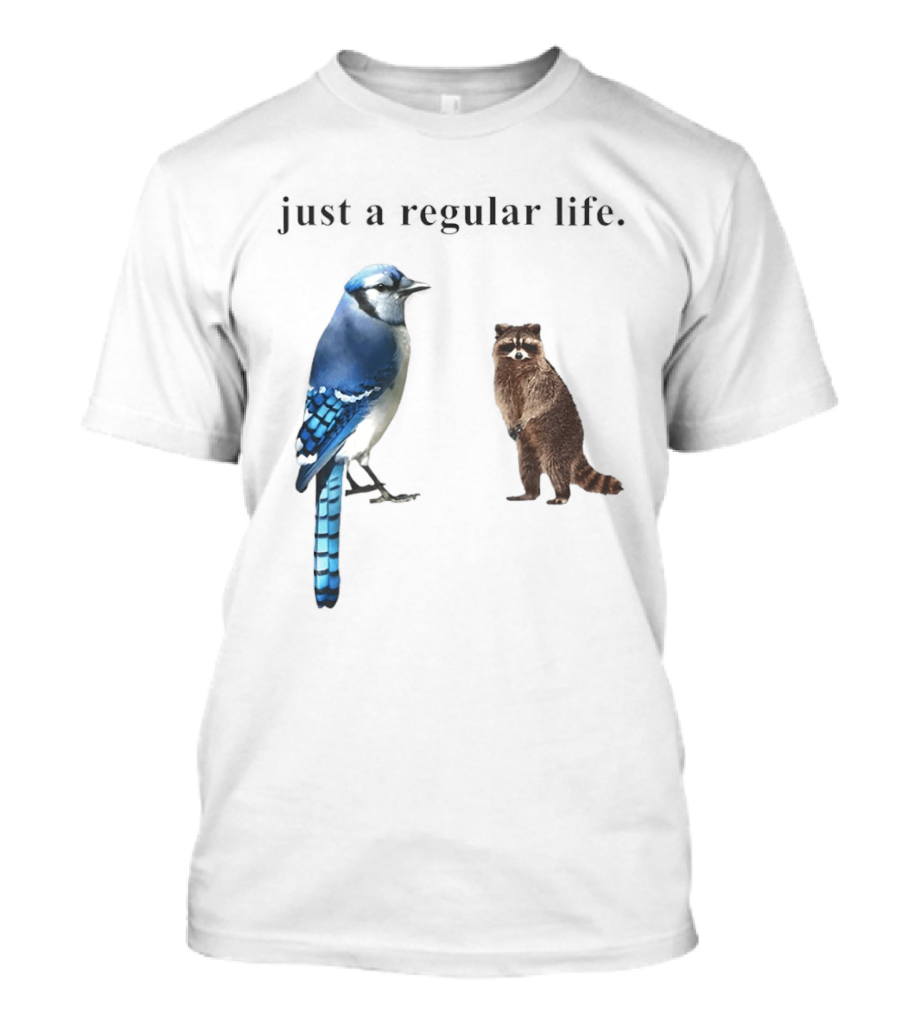 Just A Regular Life Raccoon And Bird Regular Show T-Shirt