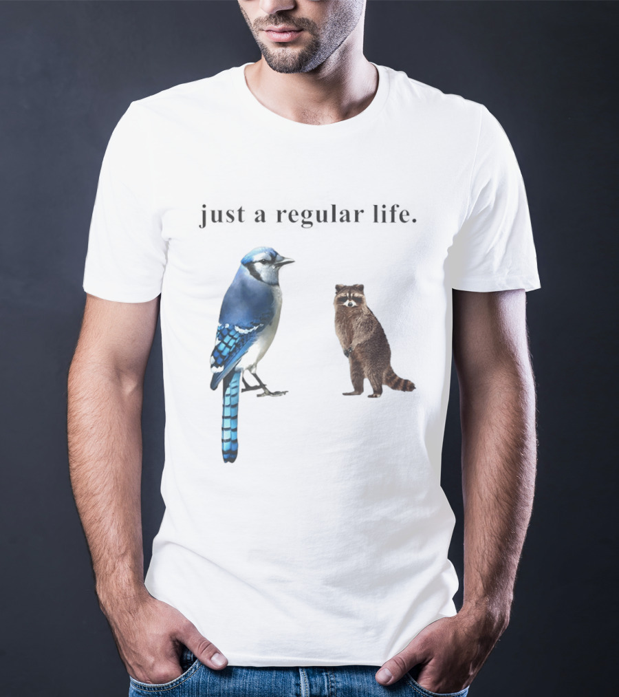 Just A Regular Life Raccoon And Bird Regular Show T-Shirt