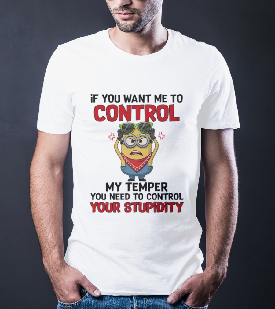 Grumpy Minion Control My Temper Control Your Stupidity T-Shirt