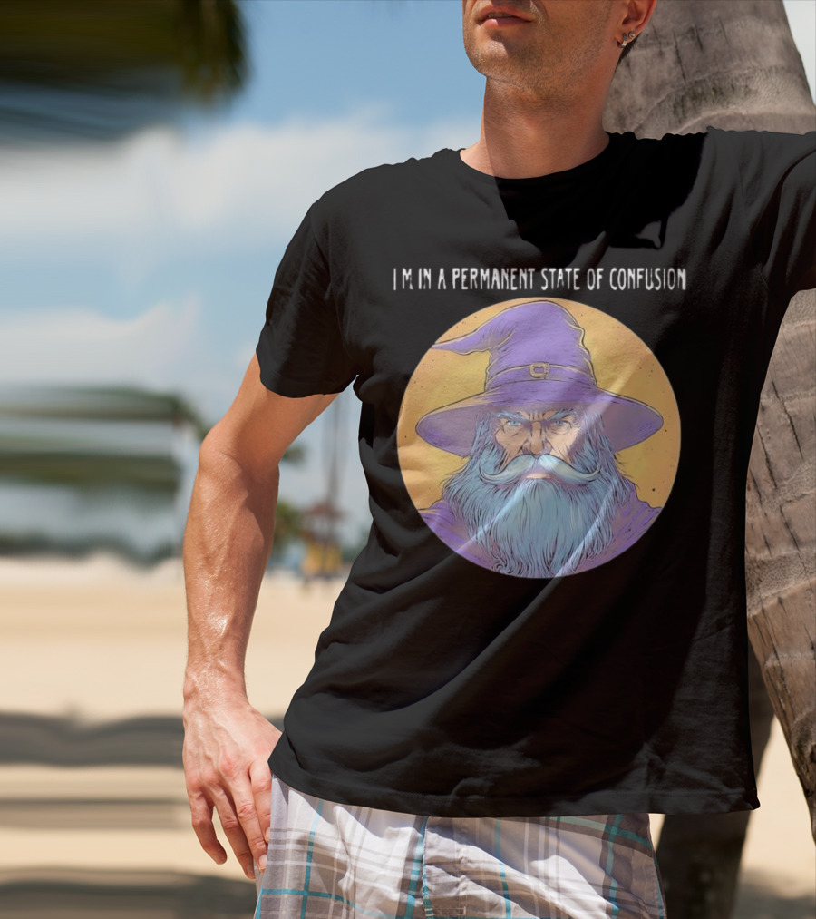Wizard Magic I'm In A Permanent State Of Confusion Purple Hat Mystic Illustration T-Shirt