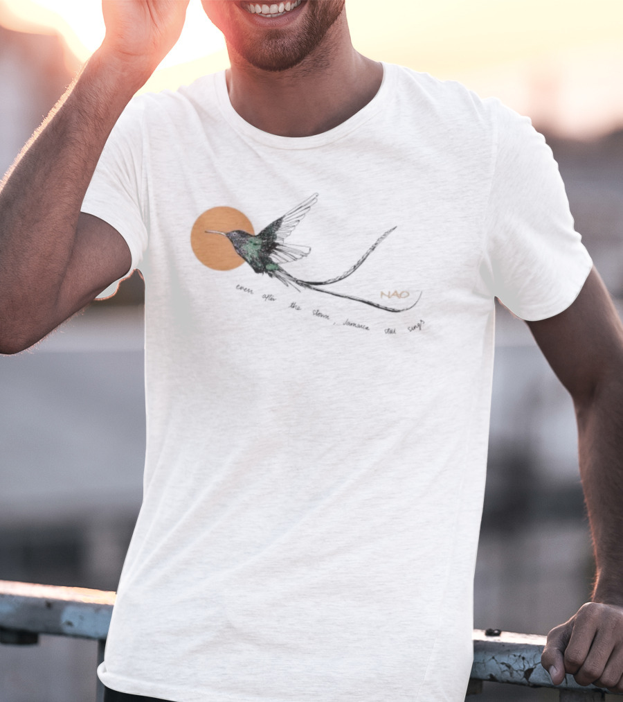Nao X Hurricane Relief Even Often The Storm Jamaica Still Sings Bird T-Shirt